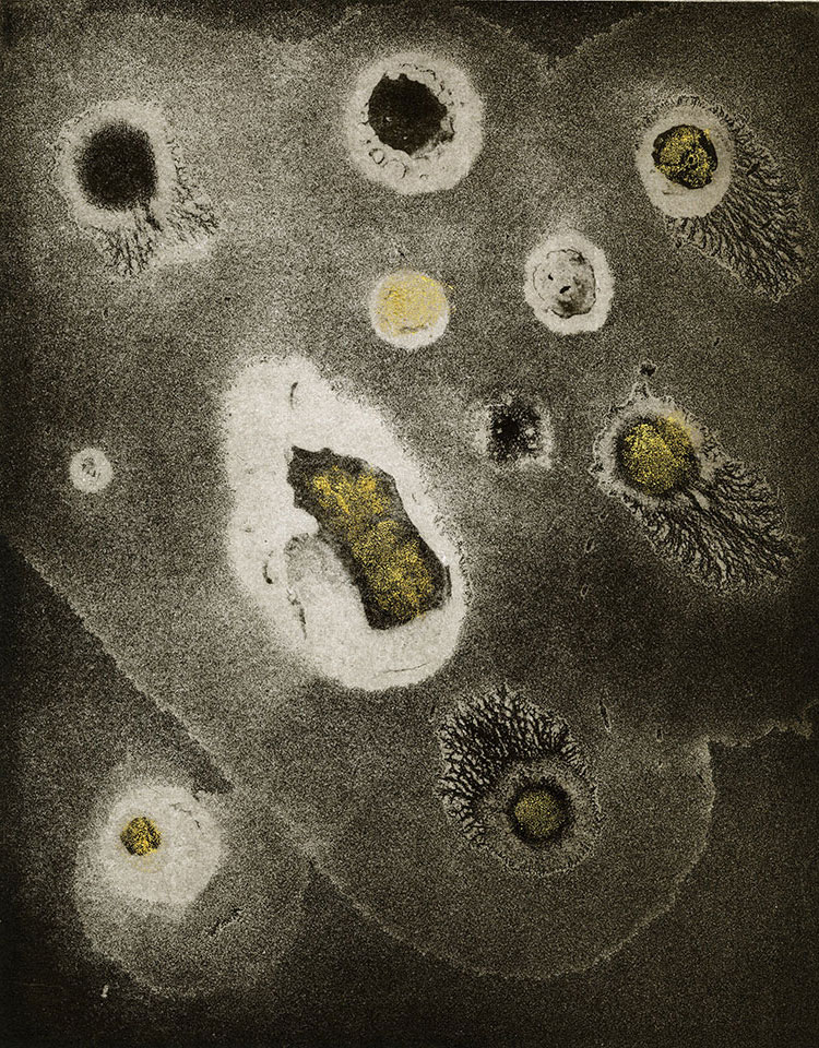 Modern Alchemy 11a, Susan Aldworth, etching, aquatint and monotype with gold leaf, 31 x 24.5 cms, 2023