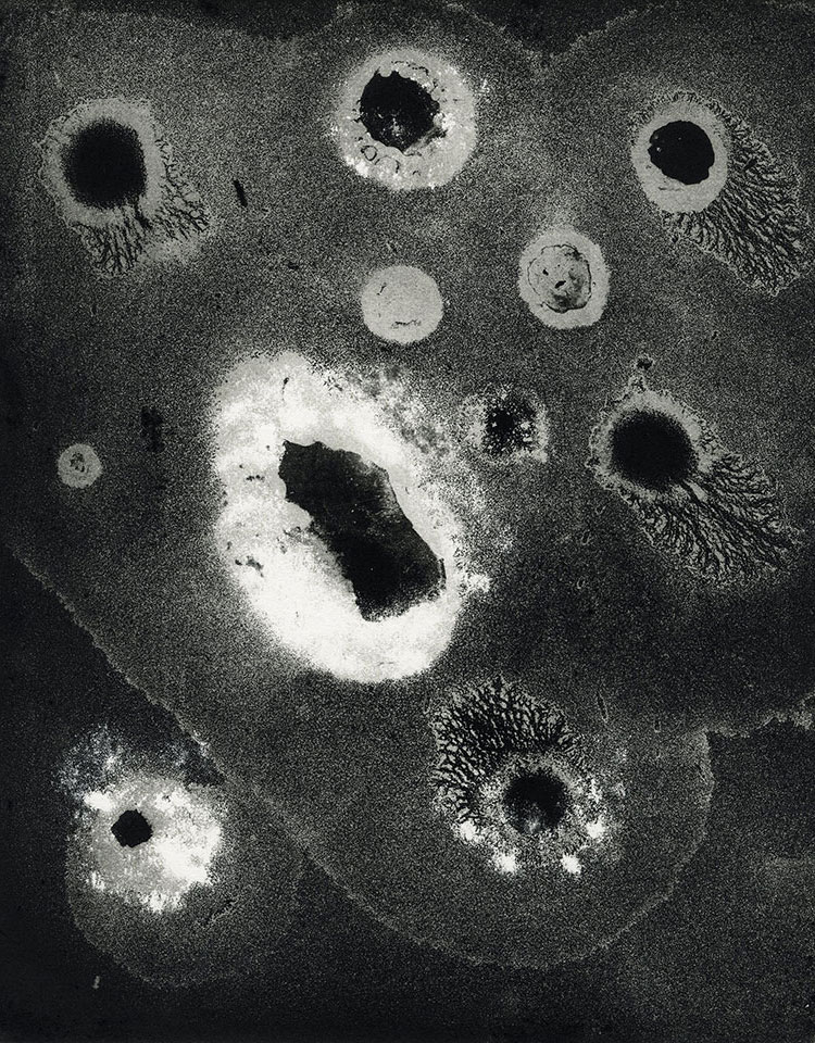 Modern Alchemy 11c, Susan Aldworth, etching, aquatint and monotype, 31 x 24.5 cms, 2023