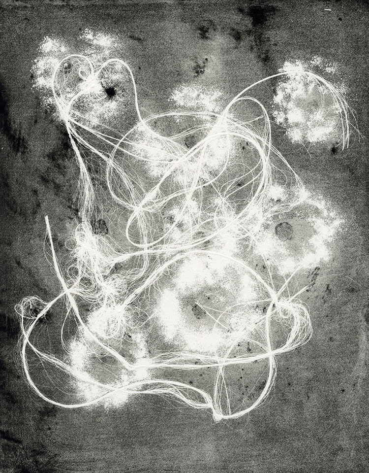 Modern Alchemy 12b, Susan Aldworth, etching, aquatint and monotype, 31 x 24.5 cms, 2023