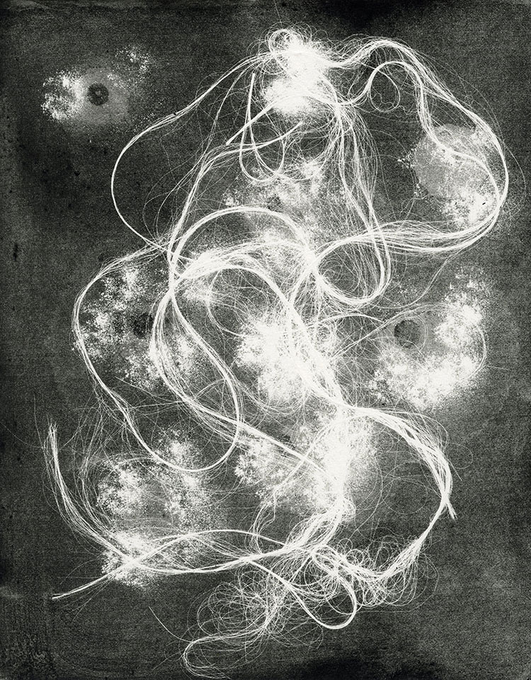 Modern Alchemy 12c, Susan Aldworth, etching, aquatint and monotype, 31 x 24.5 cms, 2023