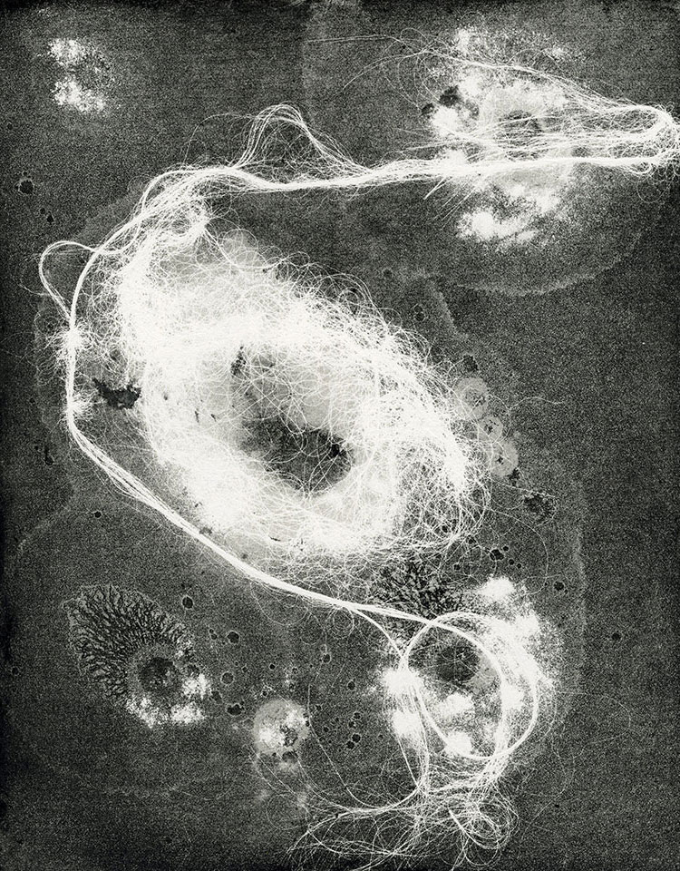 Modern Alchemy 13b, Susan Aldworth, etching, aquatint and monotype, 31 x 24.5 cms, 2023