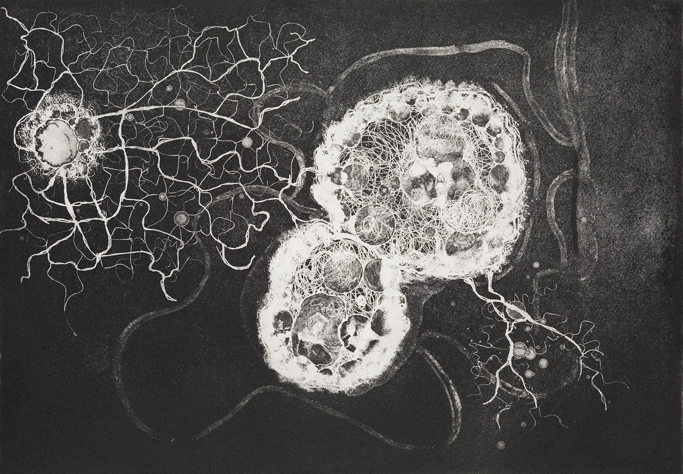 Birth of a Thought 2 (2007), etching and aquatint, 35 x 50 cm