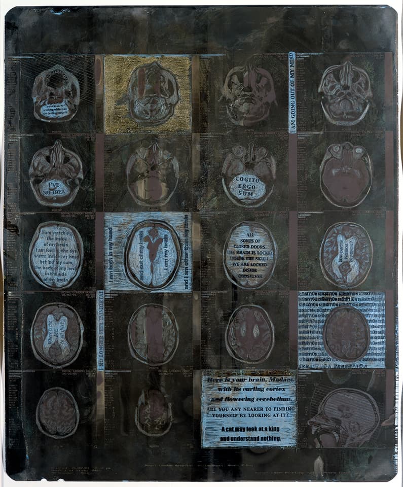 <strong>Cogito Ergo Sum 2</strong>, Susan Aldworth, mixed media, 43 x 35 cms, 2002. Photograph by Peter Abrahams.