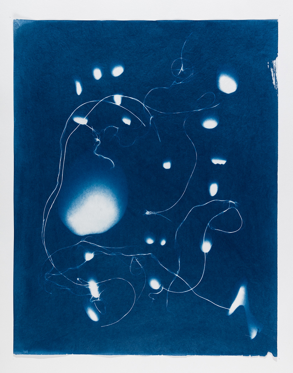 Out of the Blue 14 (2020), cyanotype, 59 x 47 cm