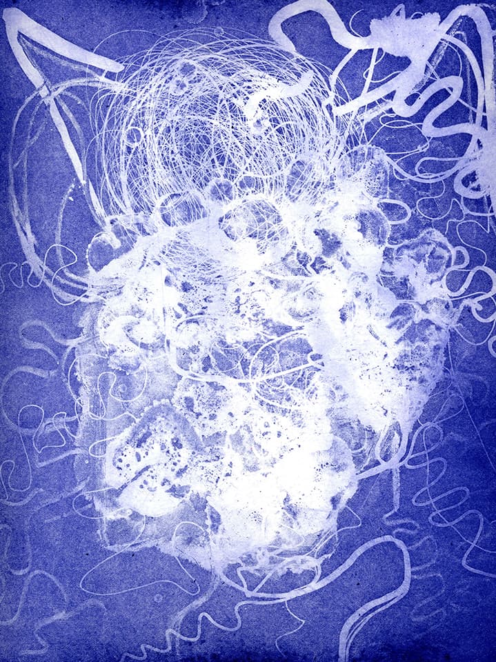 <strong>Brainscape 15</strong>, Susan Aldworth, aquatint and etching, 30 x 25 cms, 2005.