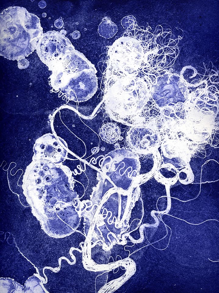 <strong>Brainscape 24</strong>, Susan Aldworth, aquatint and etching, 30 x 25 cms, 2005.
