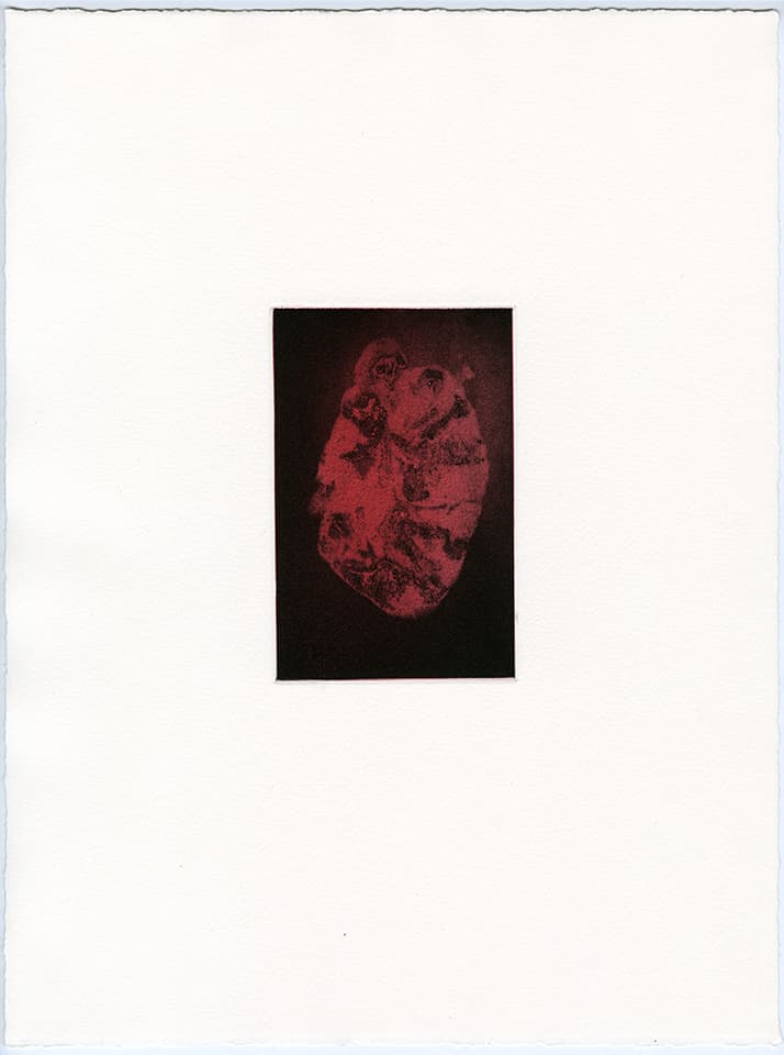 <strong>Transience 2</strong>, Susan Aldworth, etching and aquatint, 15 x 9 cms, 2013.