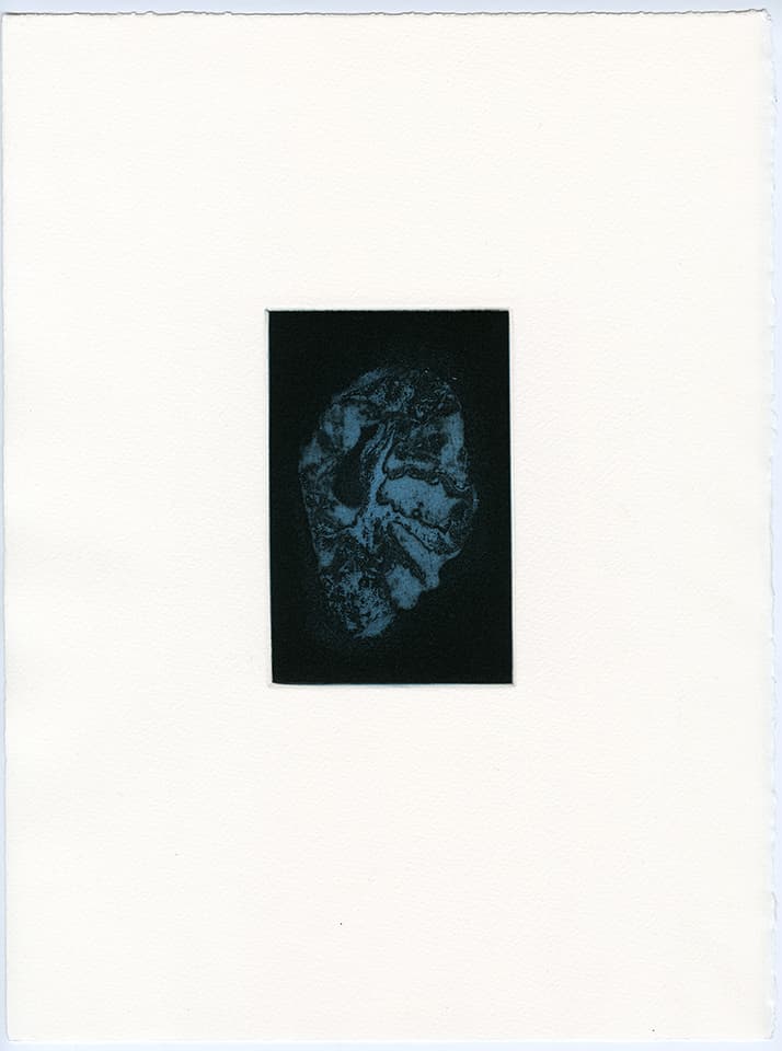 <strong>Transience 3</strong>, Susan Aldworth, etching and aquatint, 15 x 9 cms, 2013.
